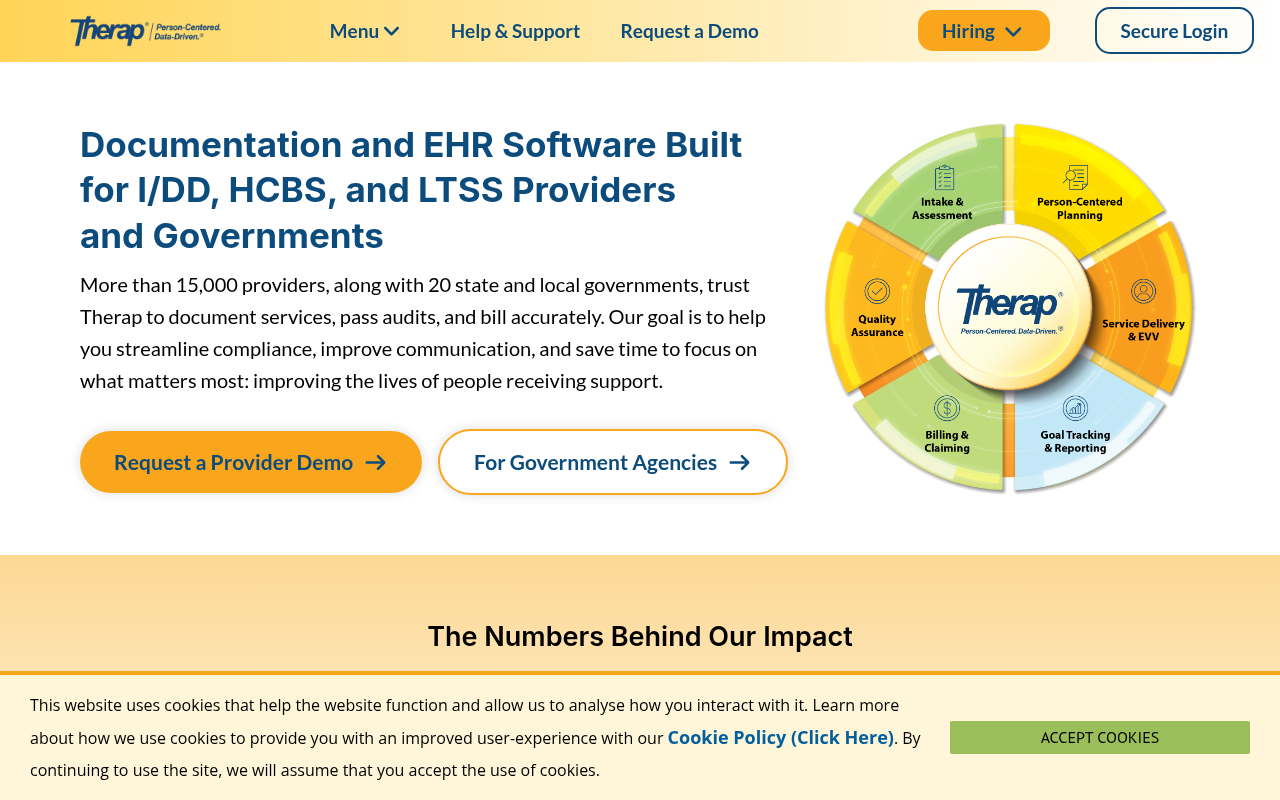 Therap product interface